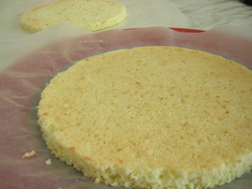 cake layers with skin removed